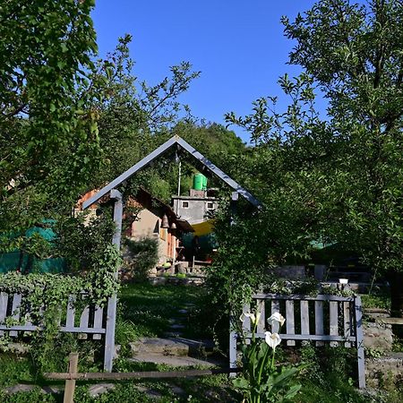 Himalayan Mud Resort Kasol Eksteriør bilde