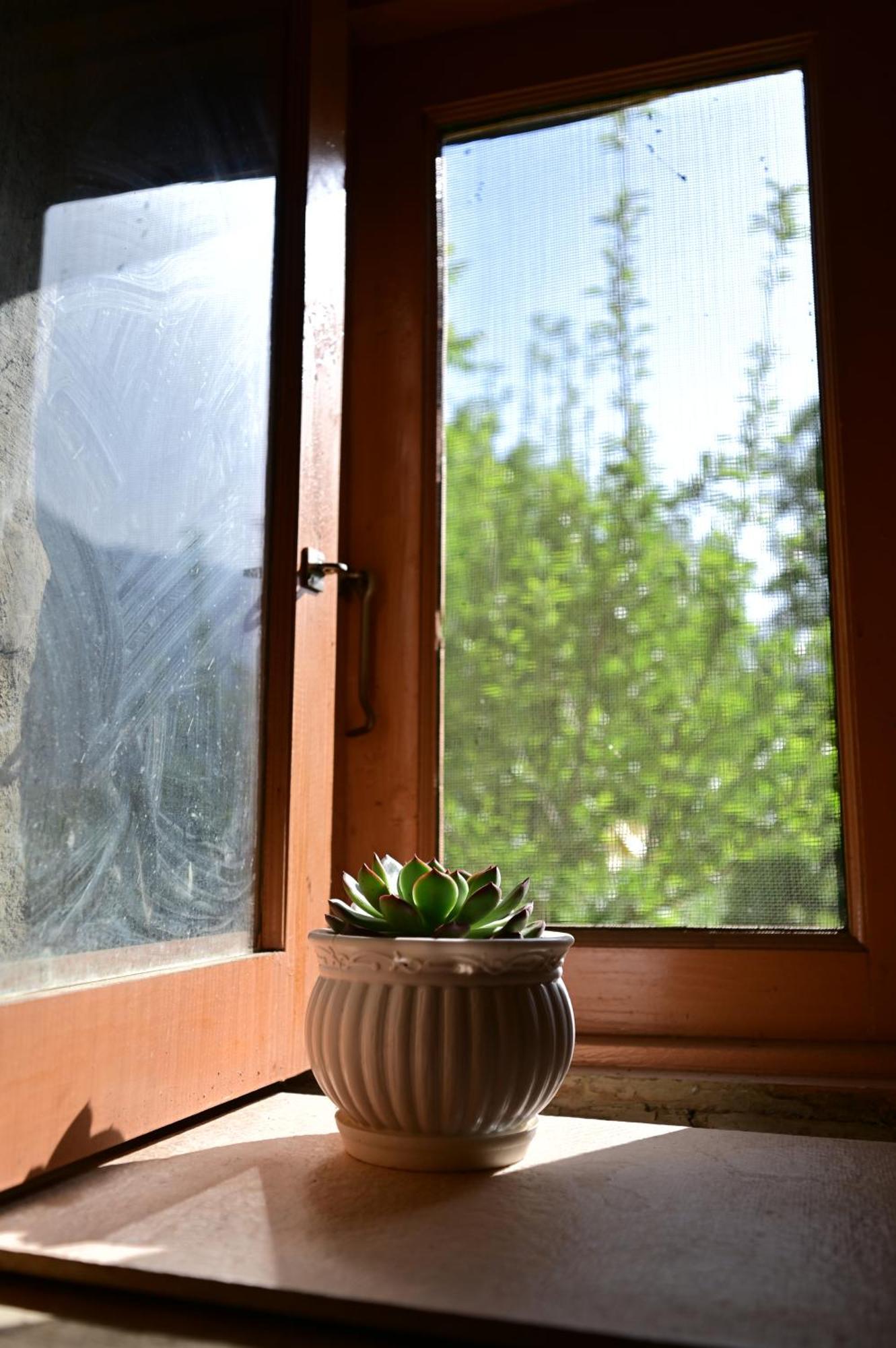 Himalayan Mud Resort Kasol Eksteriør bilde